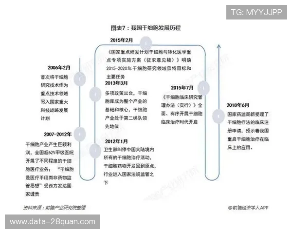普鲁士多特蒙德股份有限公司创新发展与全球战略前瞻分析 普鲁士多特蒙德股份有限公司创新发展与全球战略前瞻分析